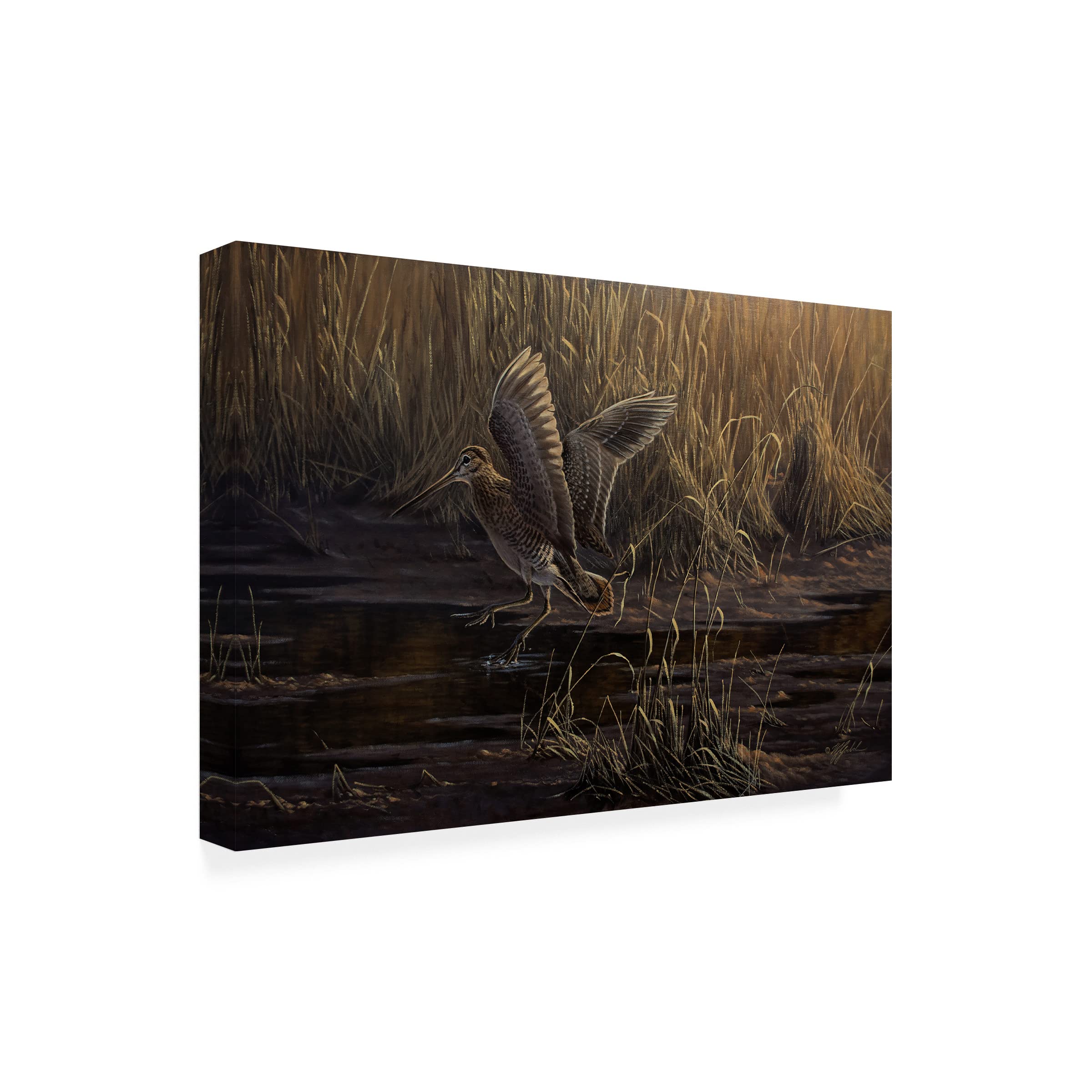Trademark Fine Art 'Dropping In' Canvas Art Print by Wilhelm Goebel - Modern Home Decor for Living Room, Bedroom & Office Wall Art