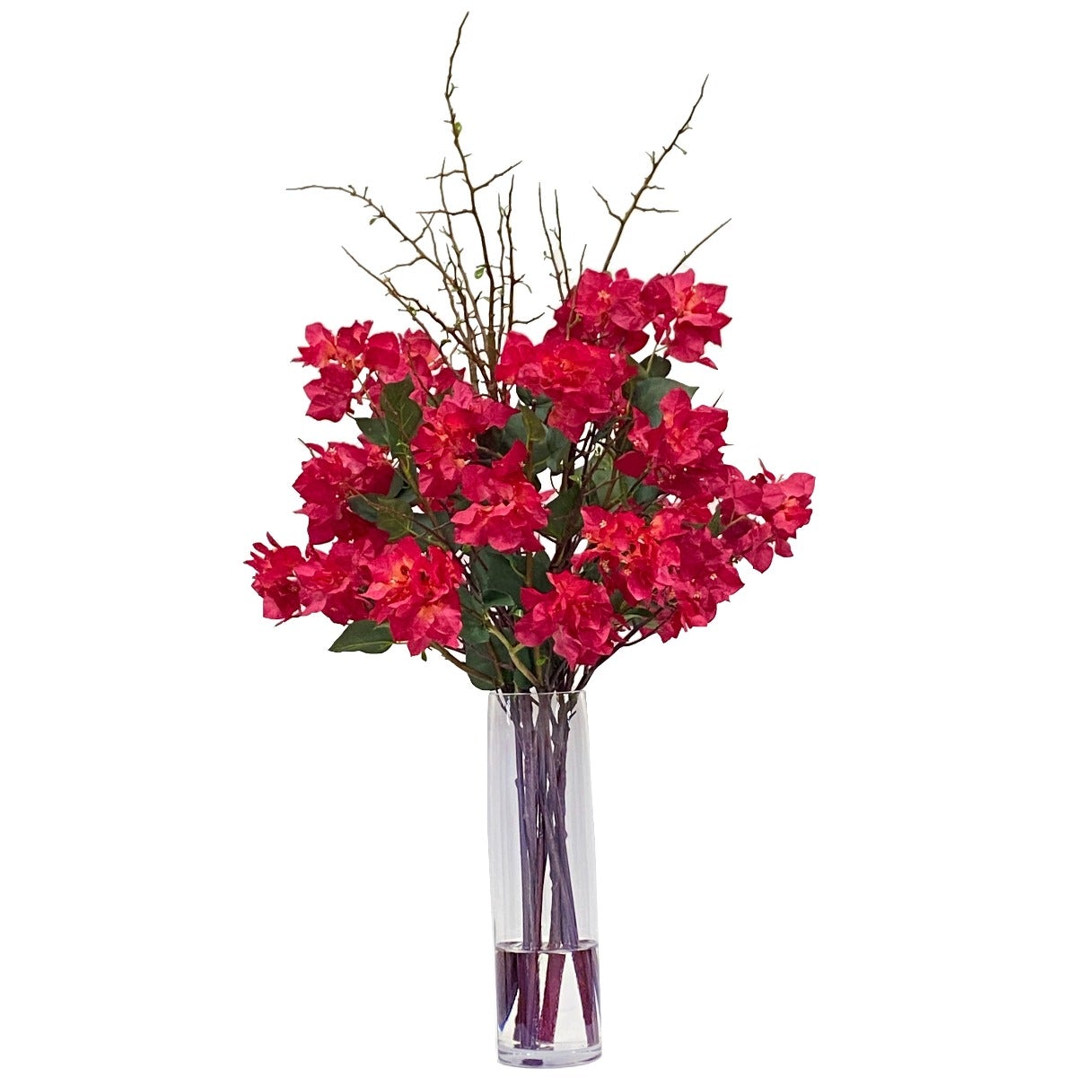 Bougainvillea Plant in Large Decorative Vase - Perfect for Home Decor, Office, and Garden Centerpiece