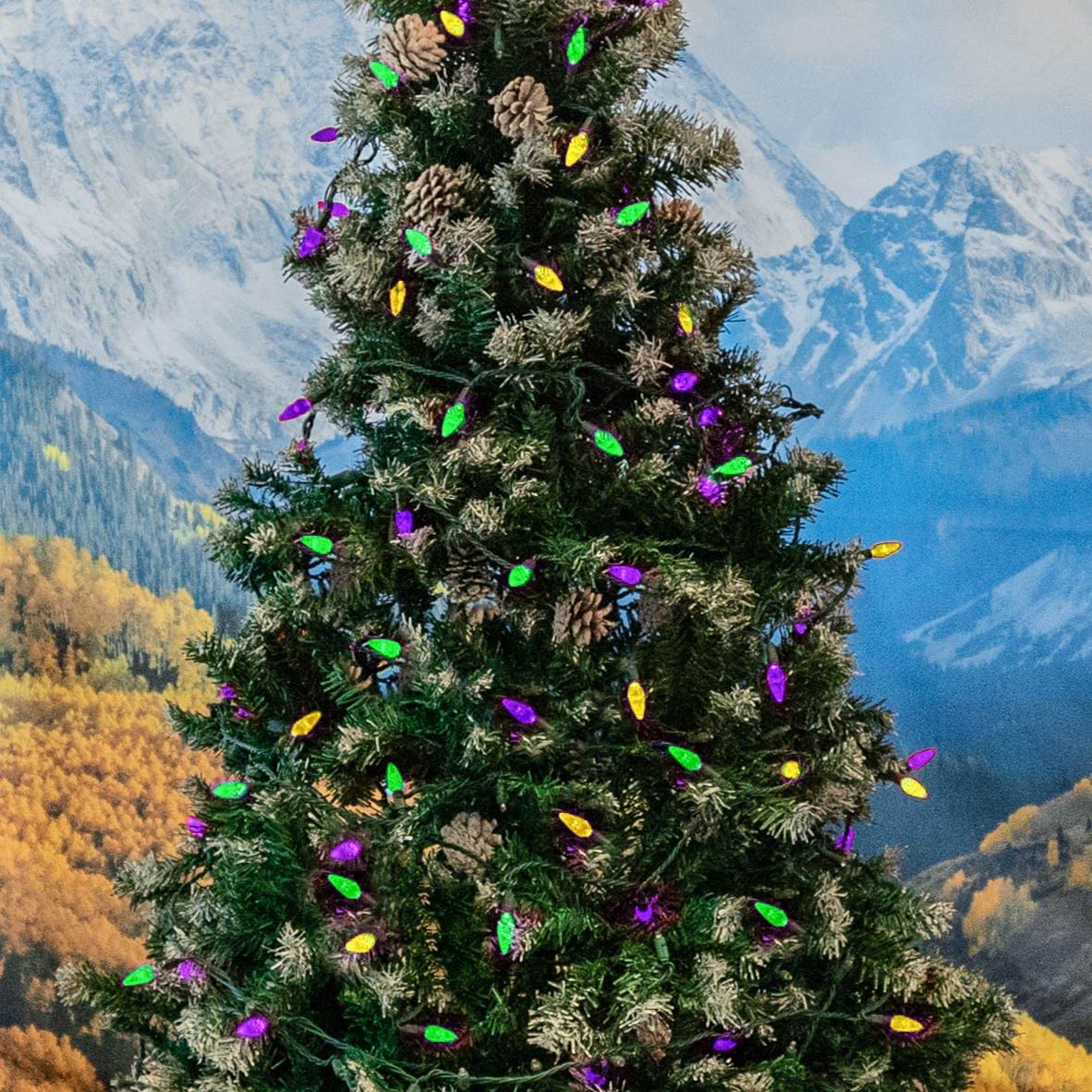 70 LED C6 Mardi Gras String Lights - 24FT Outdoor Christmas Tree Lights, Commercial Grade Permanent LED Decorations for Patio, Garden, and Holiday Parties