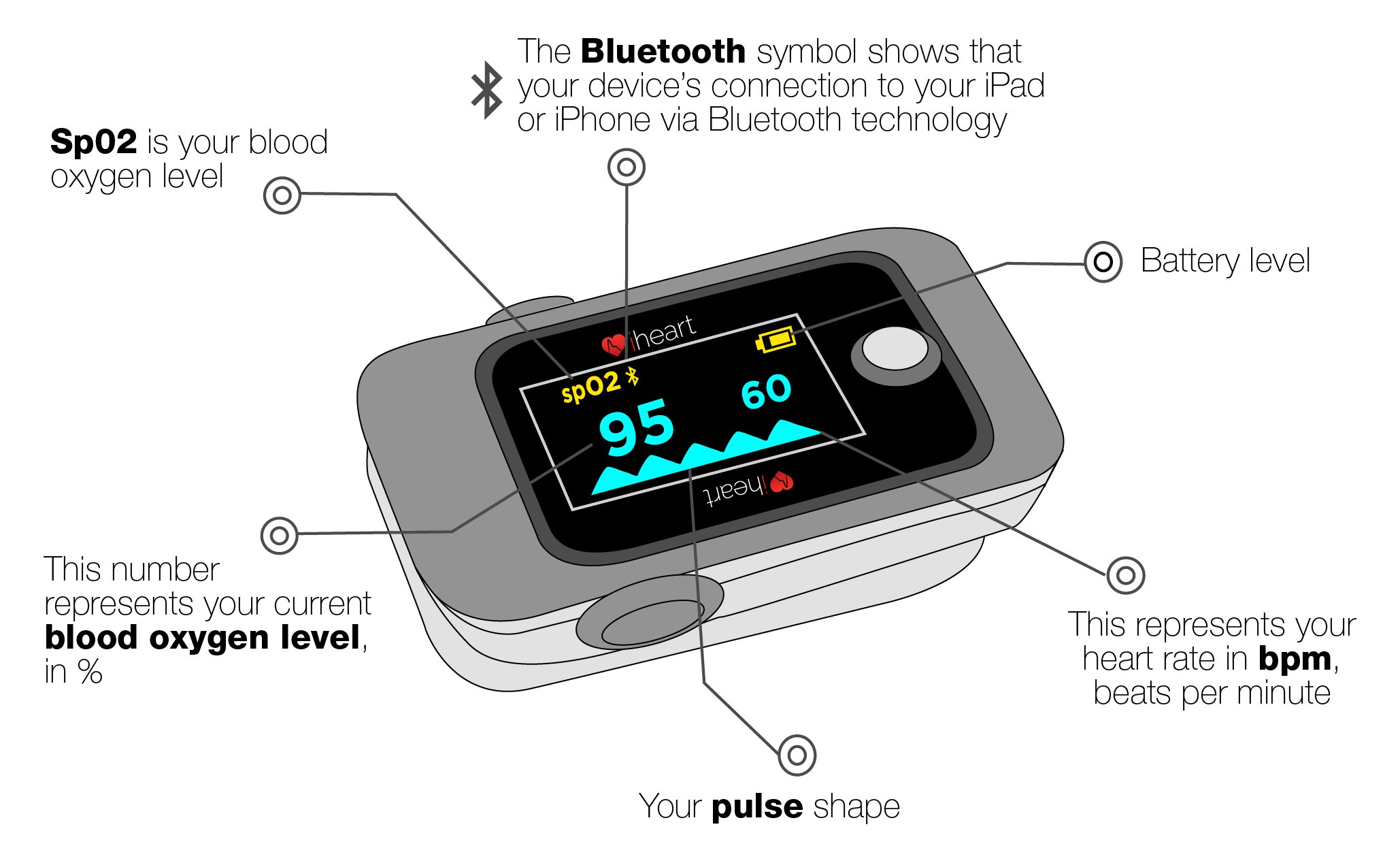 iHeart Internal Age Health Monitor - Fingertip Fitness Tracker for Biological Age, Pulse Wave, Aortic Stiffness, SpO2 & Heart Rate | iOS/Android App | Perfect for Home Health Monitoring & Wellness Tracking