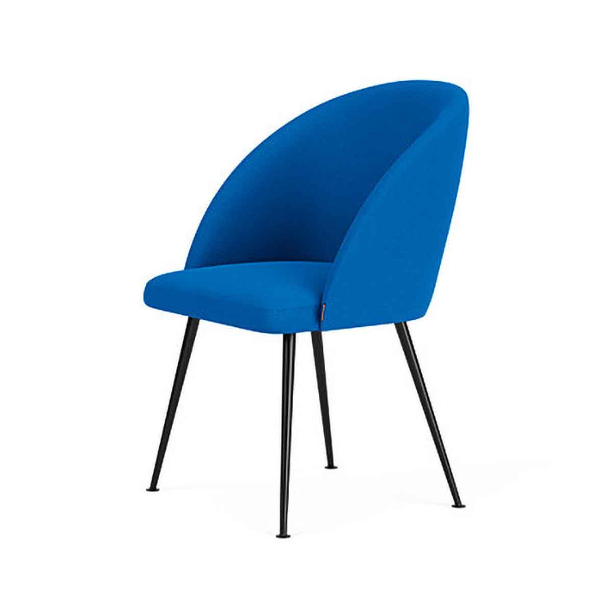 Holly Fabric Dining Chair - Comfortable Upholstered Seat for Kitchen, Dining Room & Office - Modern Home Decor Furniture for Everyday Use