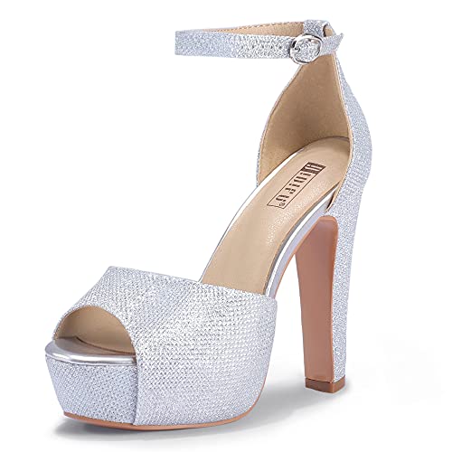 Silver Glitter