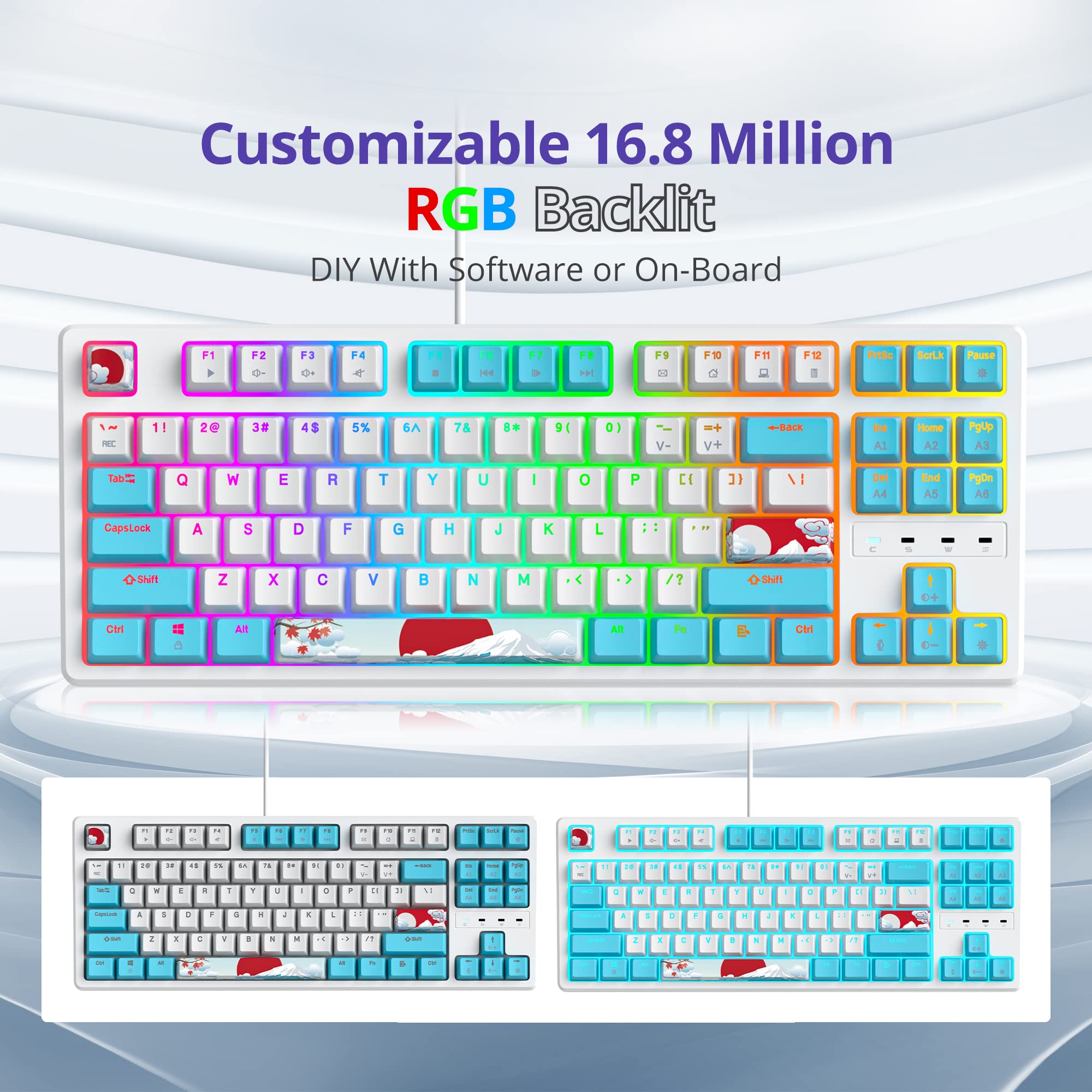 SOLIDEE 87-Key RGB Mechanical Gaming Keyboard - Compact, Portable for PC/Mac - Perfect for Office & Gaming