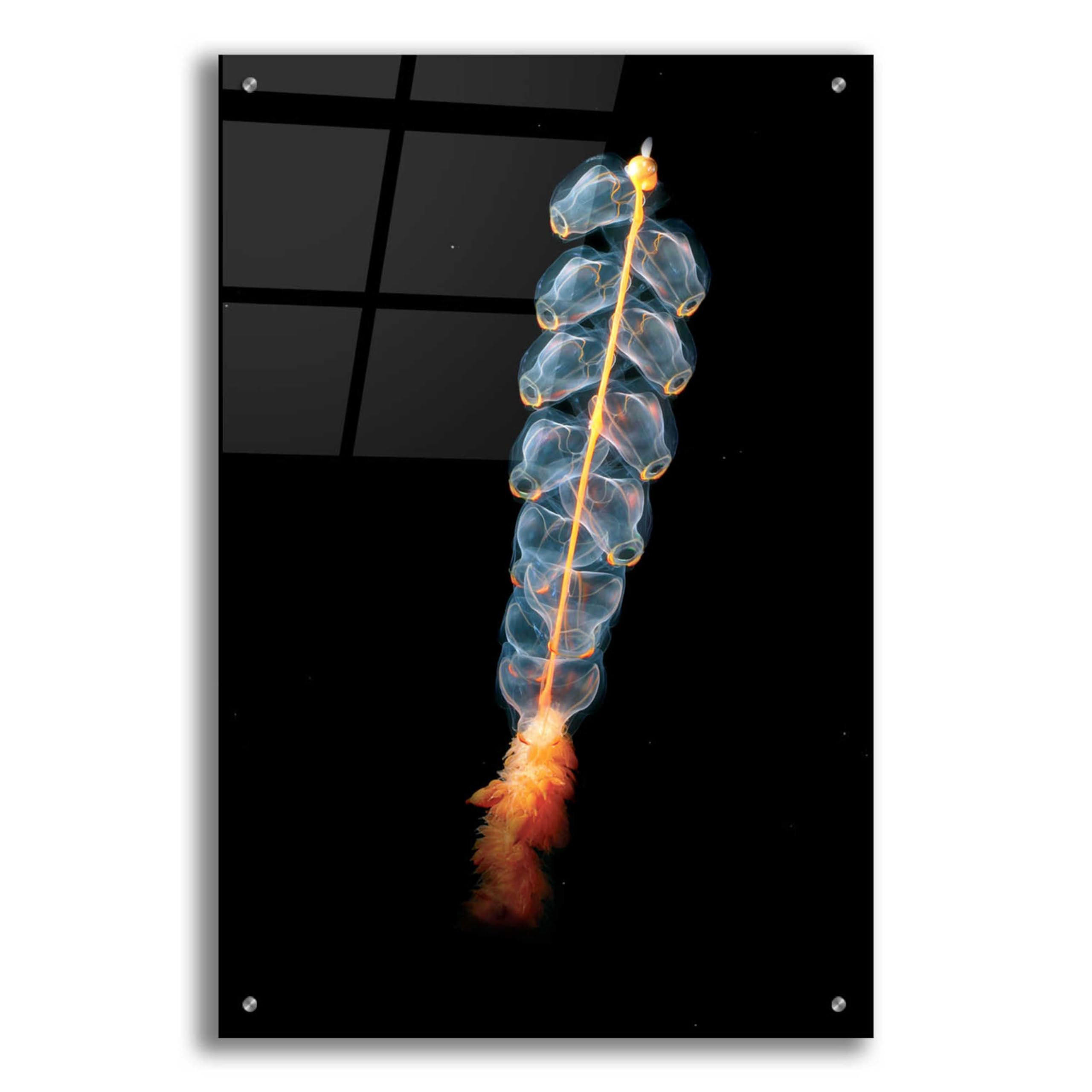 Epic Art 'Deep Sea Rocket' Acrylic Glass Wall Art - 24x36 Inches Modern Ocean Themed Painting for Living Room, Bedroom & Office Decor