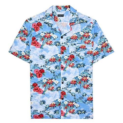Blue With Red Flower
