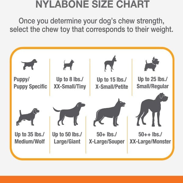 Nylabone Flexichew Moderate Chew Chicken Flavor Dog Chew Toy - Durable Dental Chew for Medium Chewers, Promotes Healthy Teeth & Gums - Perfect for Playtime, Training Rewards, and Anxiety Relief