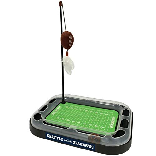 Seattle Seahawks