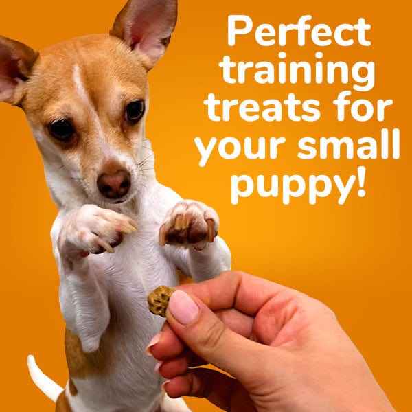 Fruitables Skinny Minis Apple Bacon Flavor Dog Treats - Low Calorie Natural Dog Snacks for Small & Medium Breeds - Perfect for Training Rewards & On-the-Go Treats