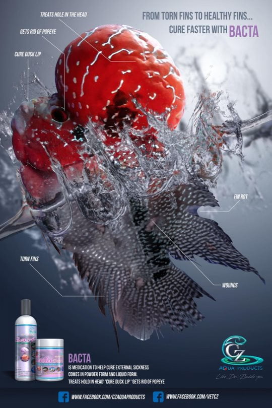 **CZ Aqua Bacta 100ml - Fast-Acting Fish Medication for Bacterial Infections, Parasites, Swollen Lips & Wound Healing | Safe for Freshwater & Saltwater Aquariums | Ideal for Sick Fish Treatment & Aquarium Care**