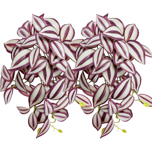 Zebrina Purple