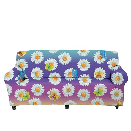 Daisy Butterfly