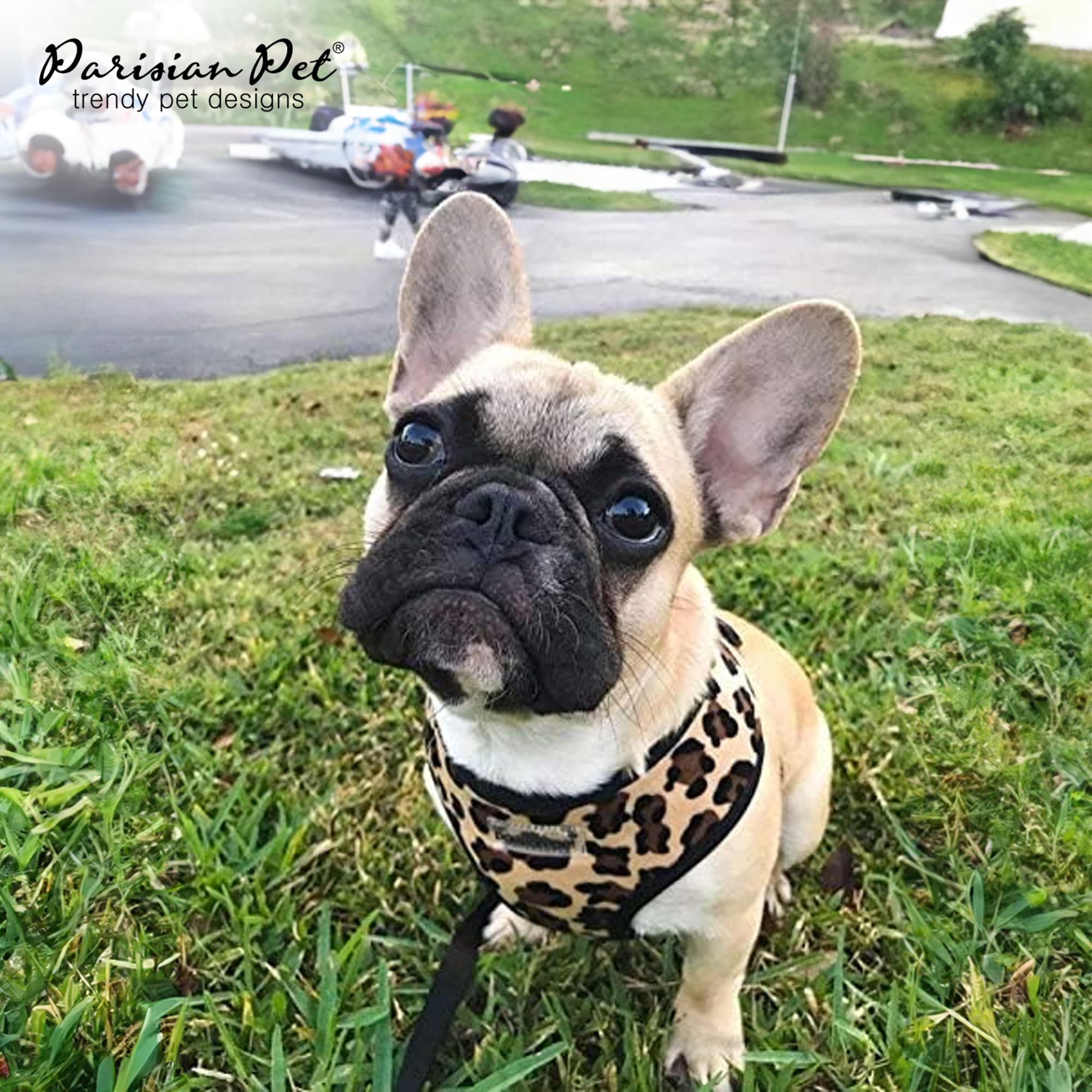Parisian Pet Freedom Adjustable Dog Harness - Leopard Print Mesh Vest for Small Dogs & Puppies (XS) - Breathable & Comfortable for Outdoor Walking, Hiking & Adventures