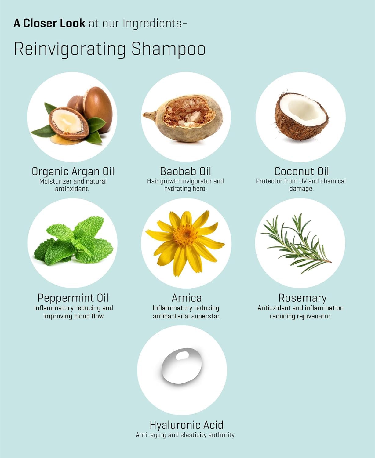 PURE CODE Roots of Health Hair & Scalp Care Shampoo with Natural Argan, Coconut & Baobab Oil - Rejuvenating Formula for Dry, Damaged Hair | Perfect for Daily Use & Hair Repair Treatments
