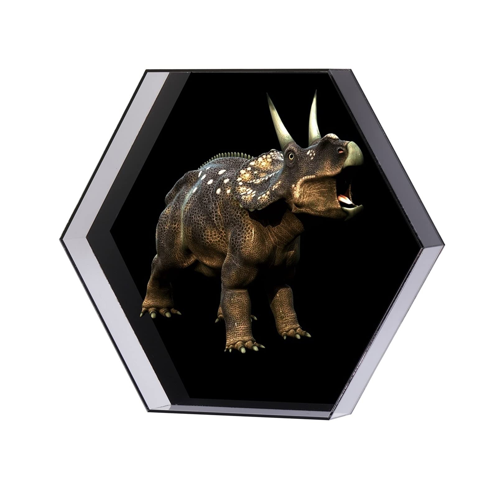 SunXTMY 3D Holographic Video Fan - Hexagonal LED Hologram Projector with Rotating Imaging & Protective Cover for Advertising, Logo Display & Visual Effects (Black Background) - Perfect for Trade Shows, Retail Displays & Event Marketing