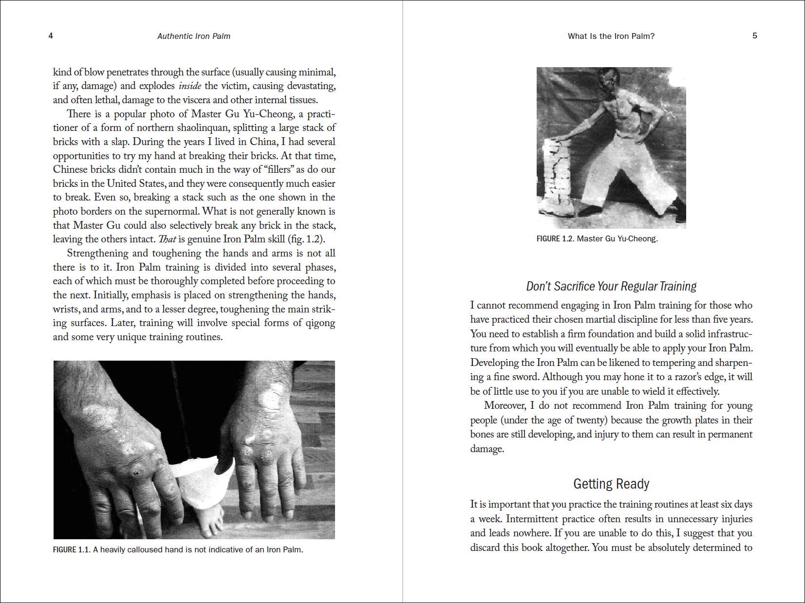 Authentic Iron Palm Training Manual - Complete Guide for Martial Arts & Self-Defense - Perfect for Kung Fu Practitioners & Combat Sports Enthusiasts