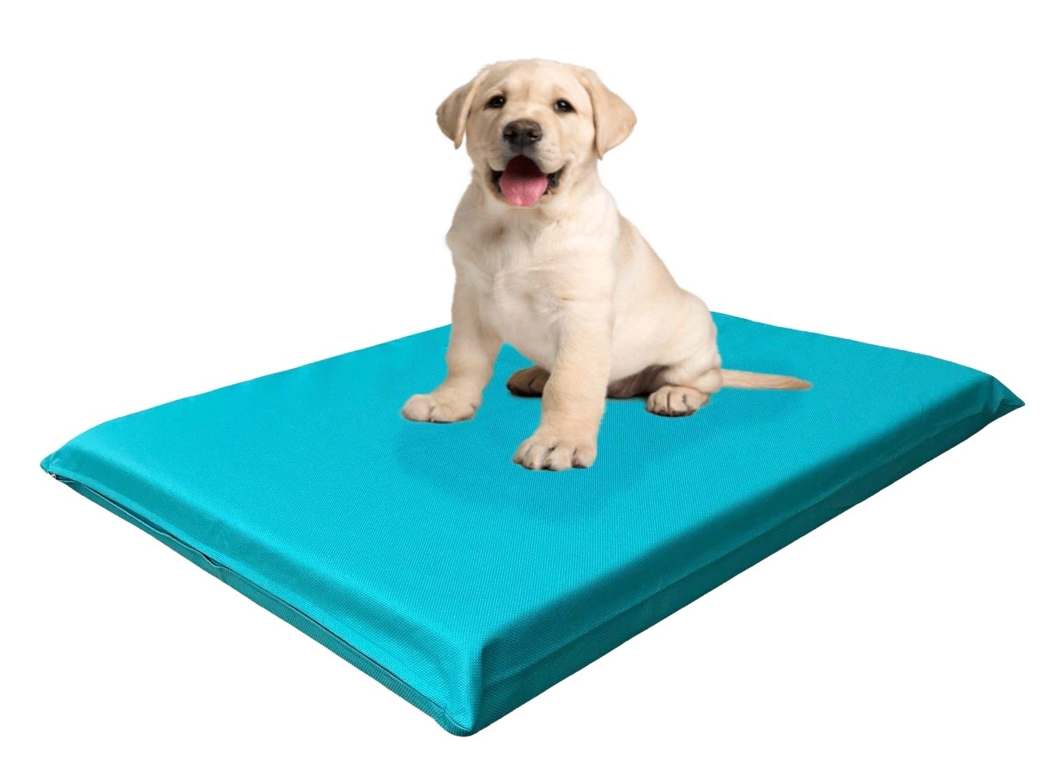 Premium High-Density Gel-Infused Memory Foam Dog Bed - Orthopedic Support, Waterproof All-Weather Cover (34