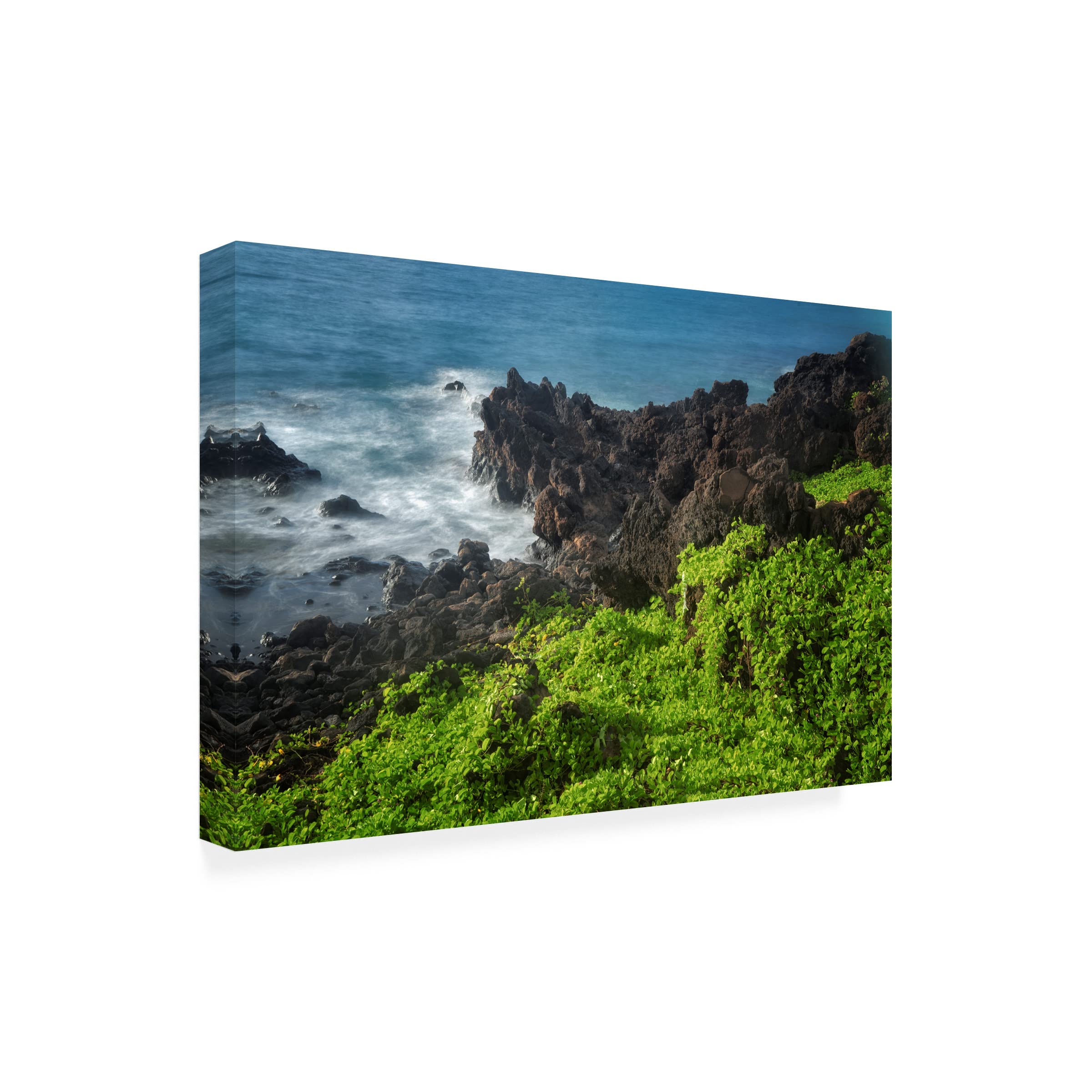 Dennis Frates 'Vegetation' Canvas Art Print - Modern Botanical Wall Decor for Living Room, Bedroom & Office - Trademark Fine Art Collection