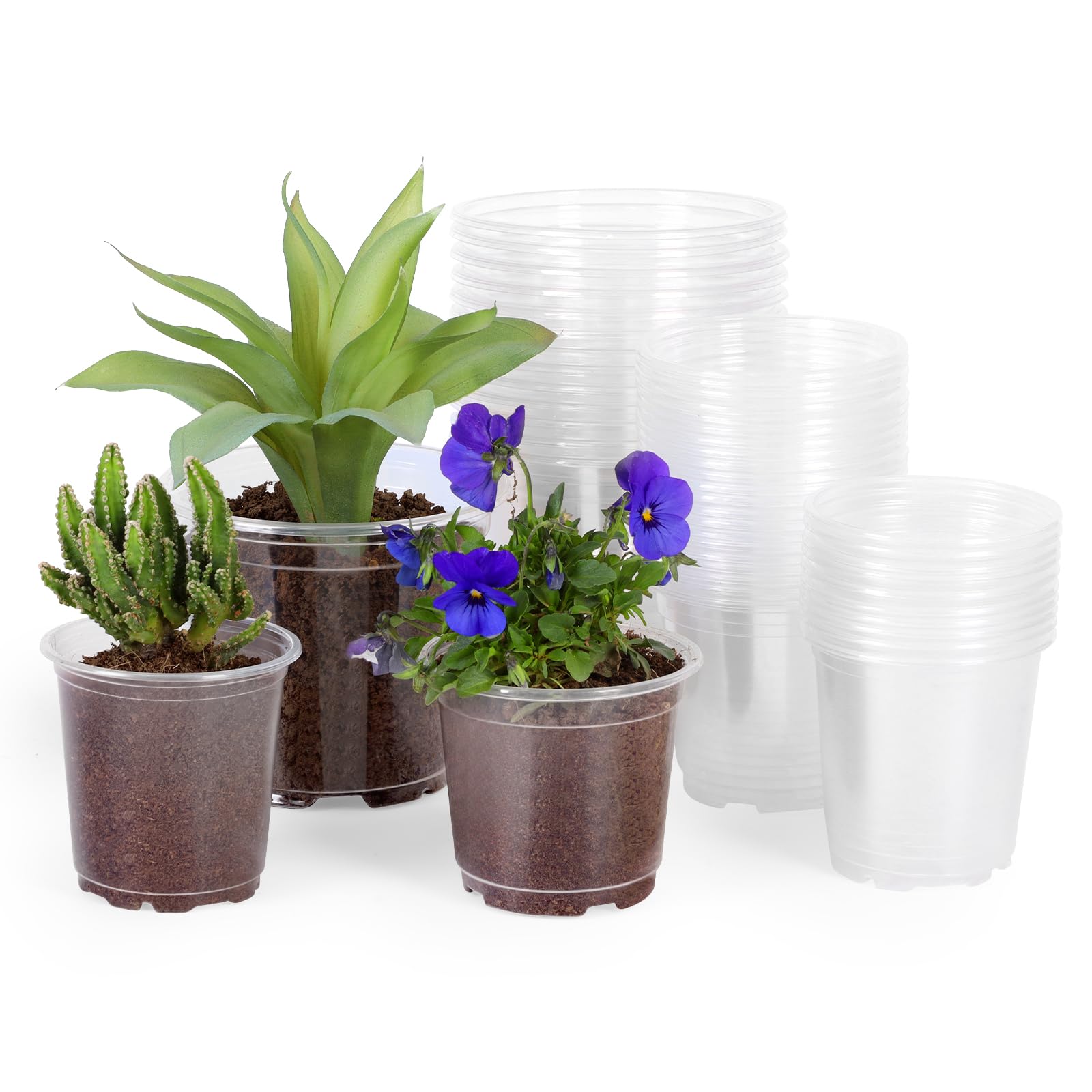 JERIA 30 Pack 5/4/3.5 Inch Clear Plastic Plant Pots with Drainage Holes - Transparent Nursery Pots for Succulents, Seed Starting, Indoor Gardening - Perfect for Home Decor, Plant Propagation & Greenhouse Use