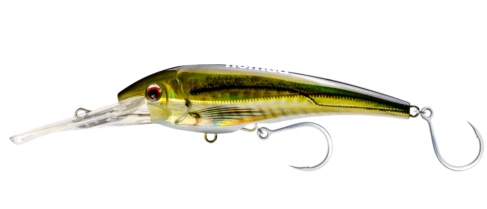 Olive Back Shad