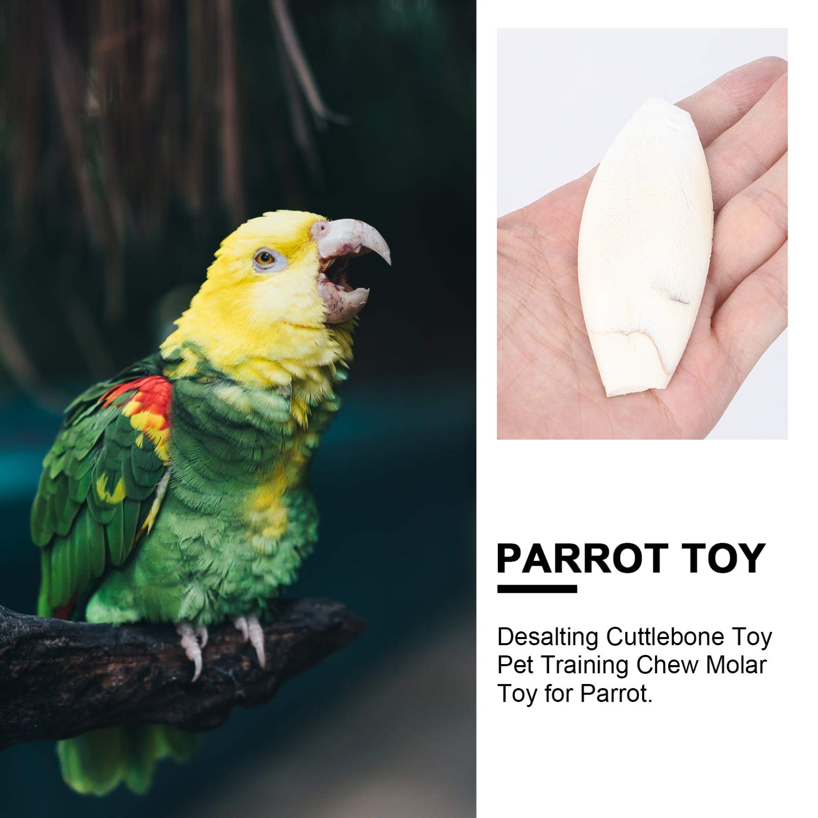 POPETPOP 12-Piece Bird Cuttle Bone Beak Grinder - Natural Parrot Chew Toy for Beak Trimming, Calcium Supplement & Pet Training | Size Variations | Perfect for Cage Enrichment & Bird Dental Care