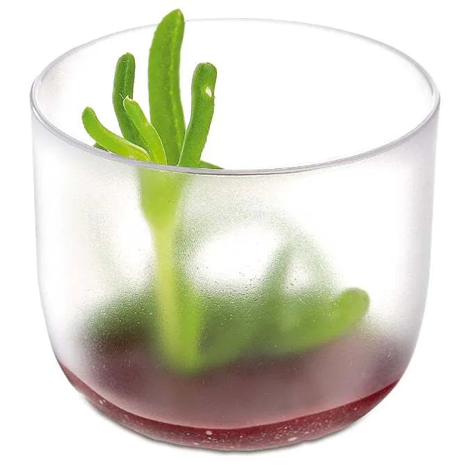 Comatec 2 oz Frosted Mini Cups - Perfect for Desserts, Candies, and Party Favors - Durable and Elegant Disposable Plastic Cups for Events, Weddings, and Home Use