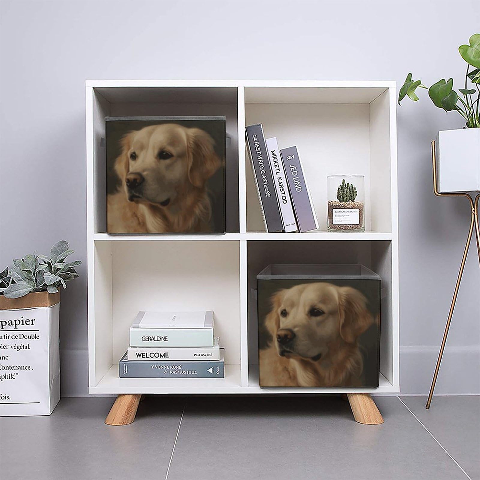 Golden Retriever Pattern Foldable Storage Box with Handle - Closet Organizer Bins for Clothes, Cabinet & Shelf Organization | Perfect for Bedroom, Nursery & Pet Supplies Storage
