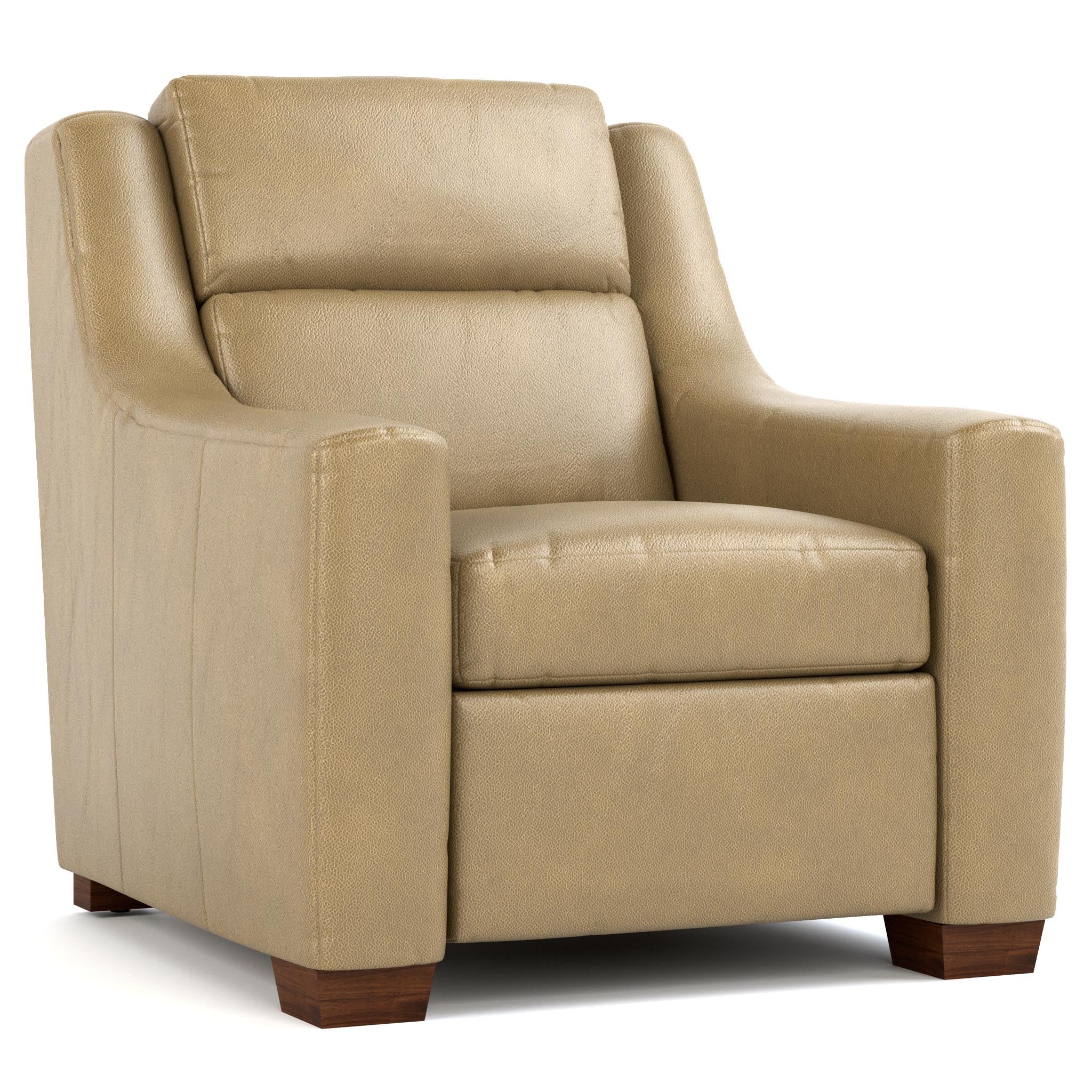 Hawley Power Wall Recliner Chair - Electric Lift Recliner for Living Room with Massage & Heat, Heavy Duty Reclining Sofa for Elderly & Adults - Perfect for Home Theater, Nursing & Relaxation