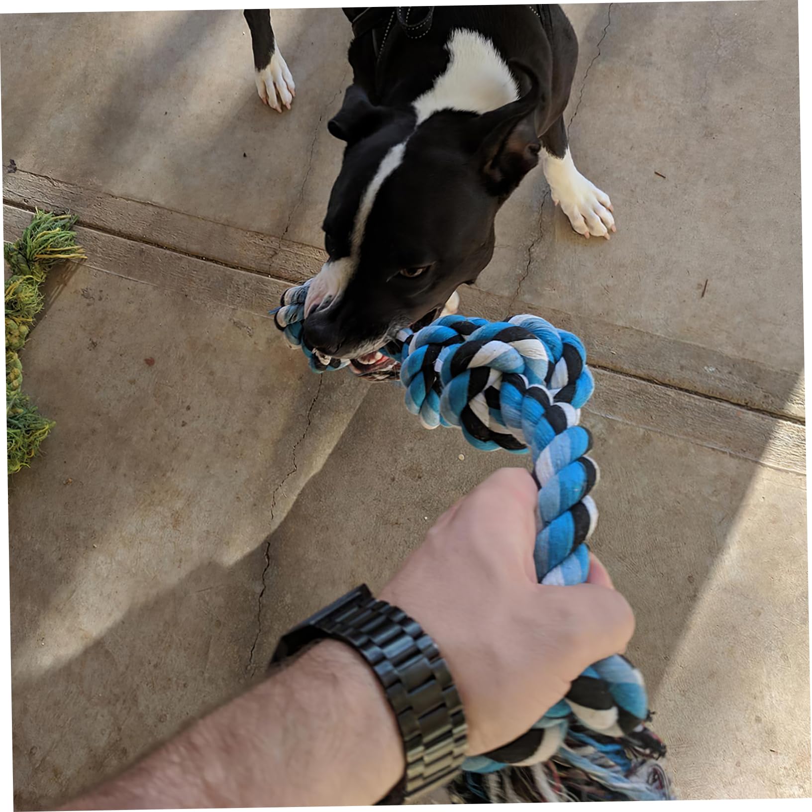 Durable Stainless Steel Spring Pole Dog Toy with Cotton Rope - Outdoor Exercise & Enrichment Toy for Puppies & Large Dogs - Perfect for Backyard Play & Training Sessions