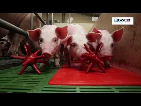 EasyFix® Luna Pig Enrichment Floor Toys for Small Pets - Chew Toys for Guinea Pigs, Rabbits & Hamsters - Durable & Safe Pet Chew Toys for Cage Play & Stress Relief