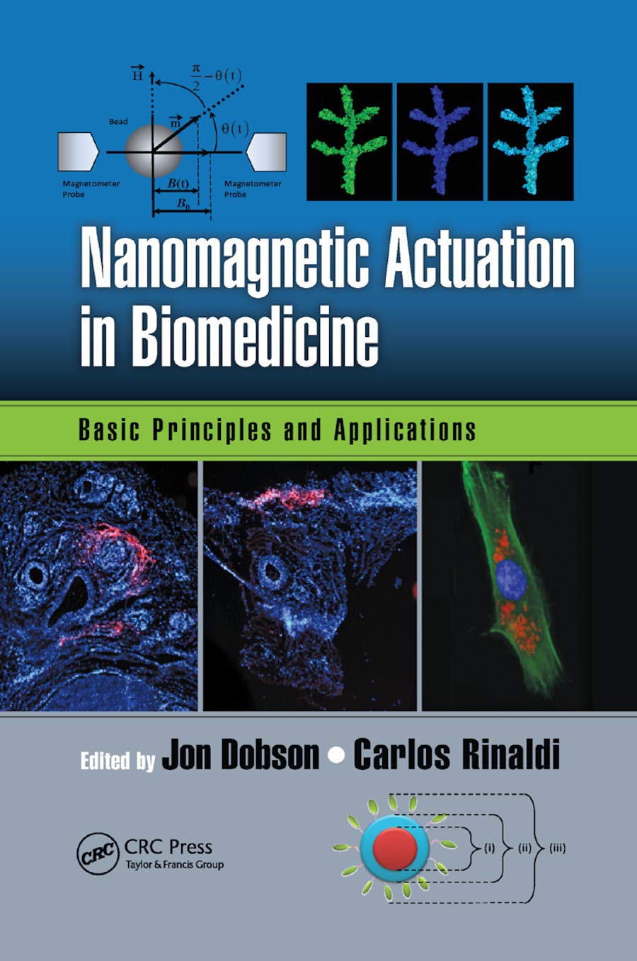 Nanomagnetic Actuation in Biomedicine: Principles, Applications & Medical Uses for Targeted Drug Delivery & Therapy