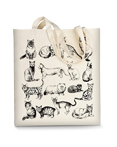 Cats Hand Drawn