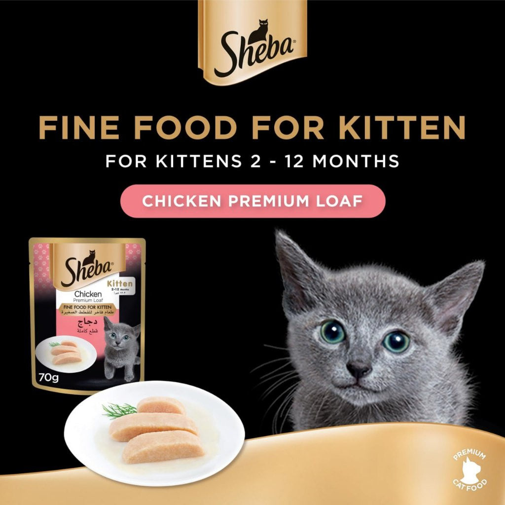 Sheba Premium Wet Cat Food Pouches - Nutrient Rich, Grain Free, 24 Pack (70g Each) - Perfect for Adult Cats & Kittens, Ideal for Mealtime & Travel