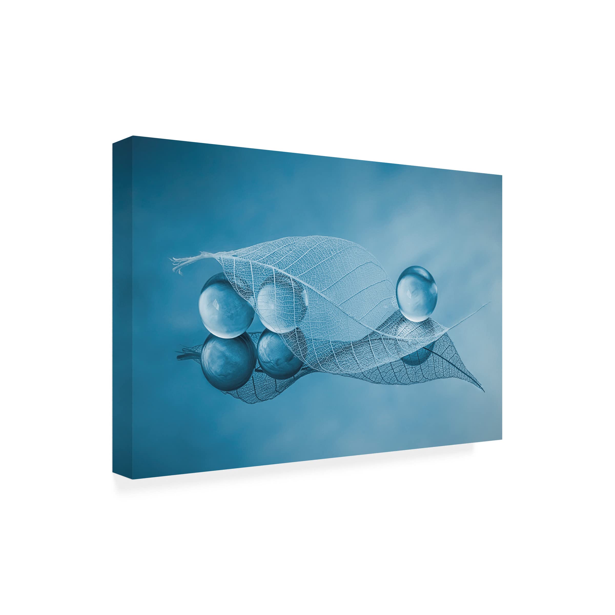 Lydia Jacobs 'Dry Leaf And Bubbles' Canvas Wall Art Print - Modern Botanical Home Decor for Living Room, Bedroom & Office