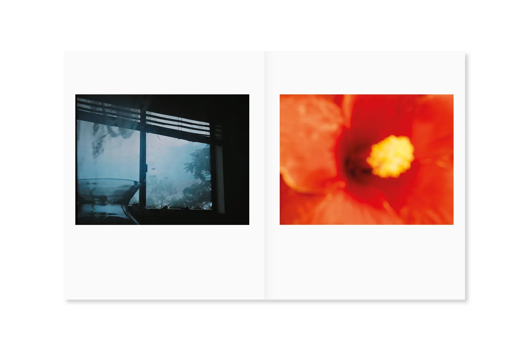 Between the Skin and Sea - Stunning Photography Book by Katrin Koenning | Perfect for Art Lovers, Coffee Table Decor & Photography Inspiration