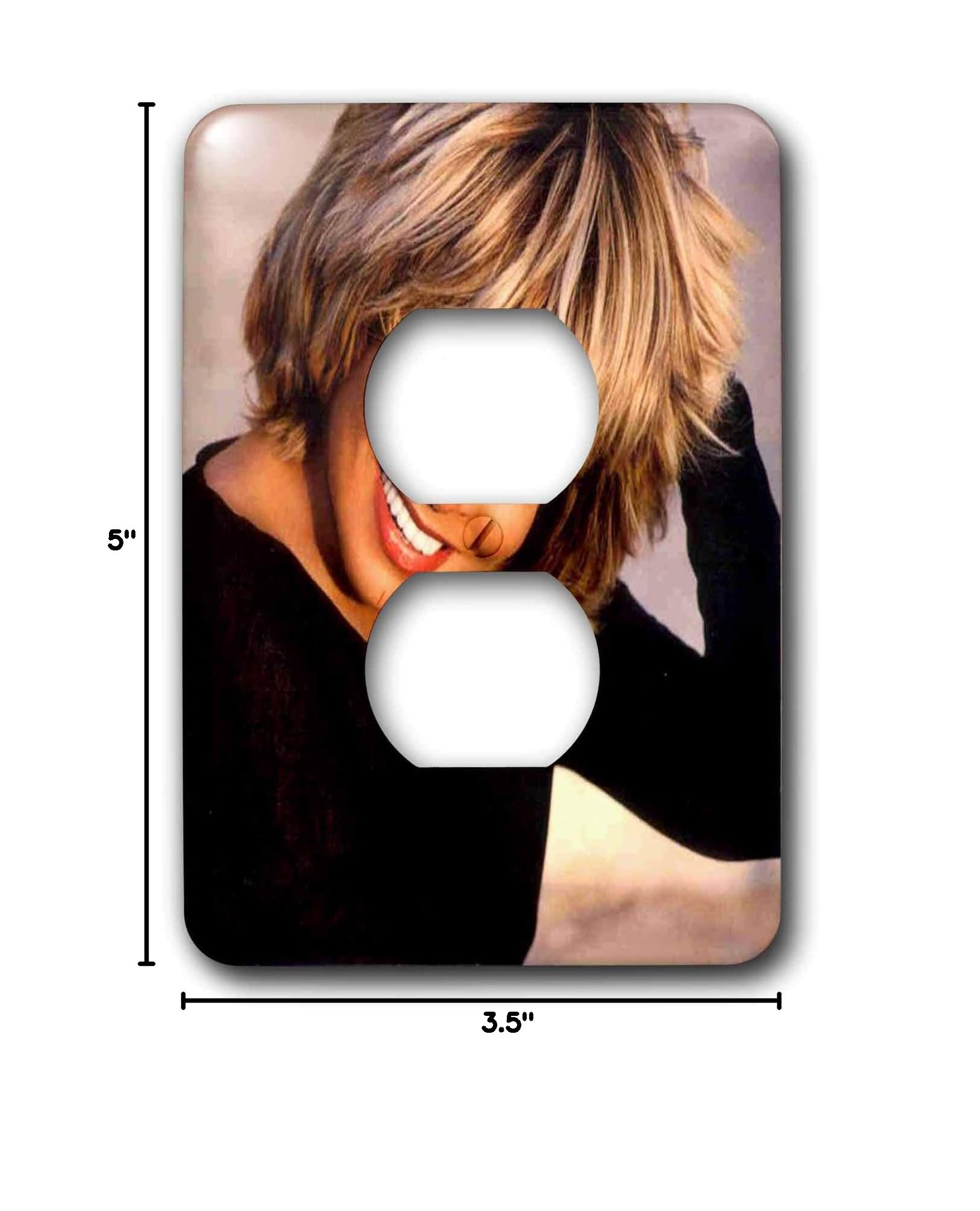 3D Rose Tina Turner 2 Plug Outlet Cover - Decorative Electrical Outlet Cover for Home & Office - Perfect for Music Fans, Bedroom, Living Room, and Studio Decor