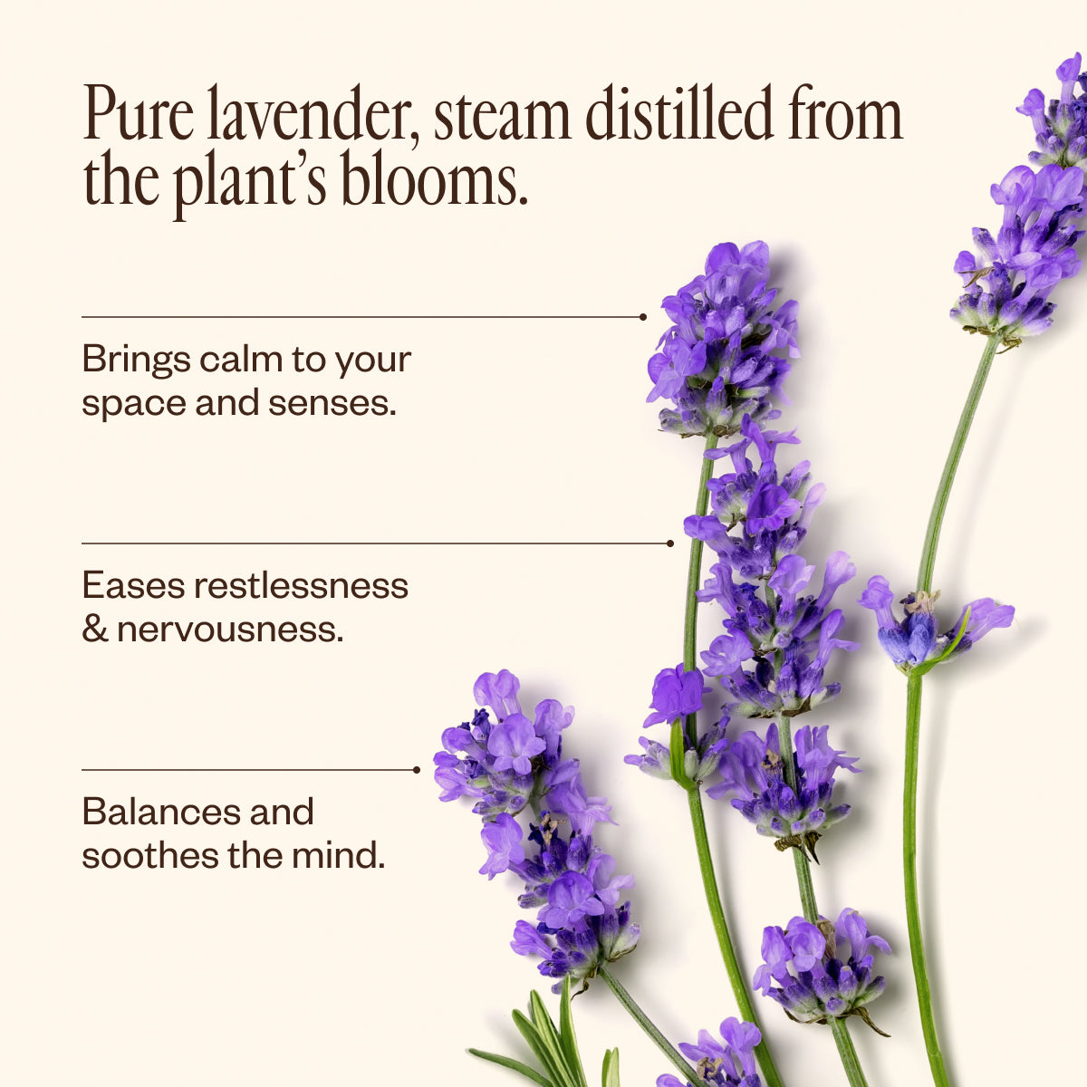 Premium Lavender Essential Oil 30ml - 100% Pure & Natural for Aromatherapy, Relaxation & Skin Care