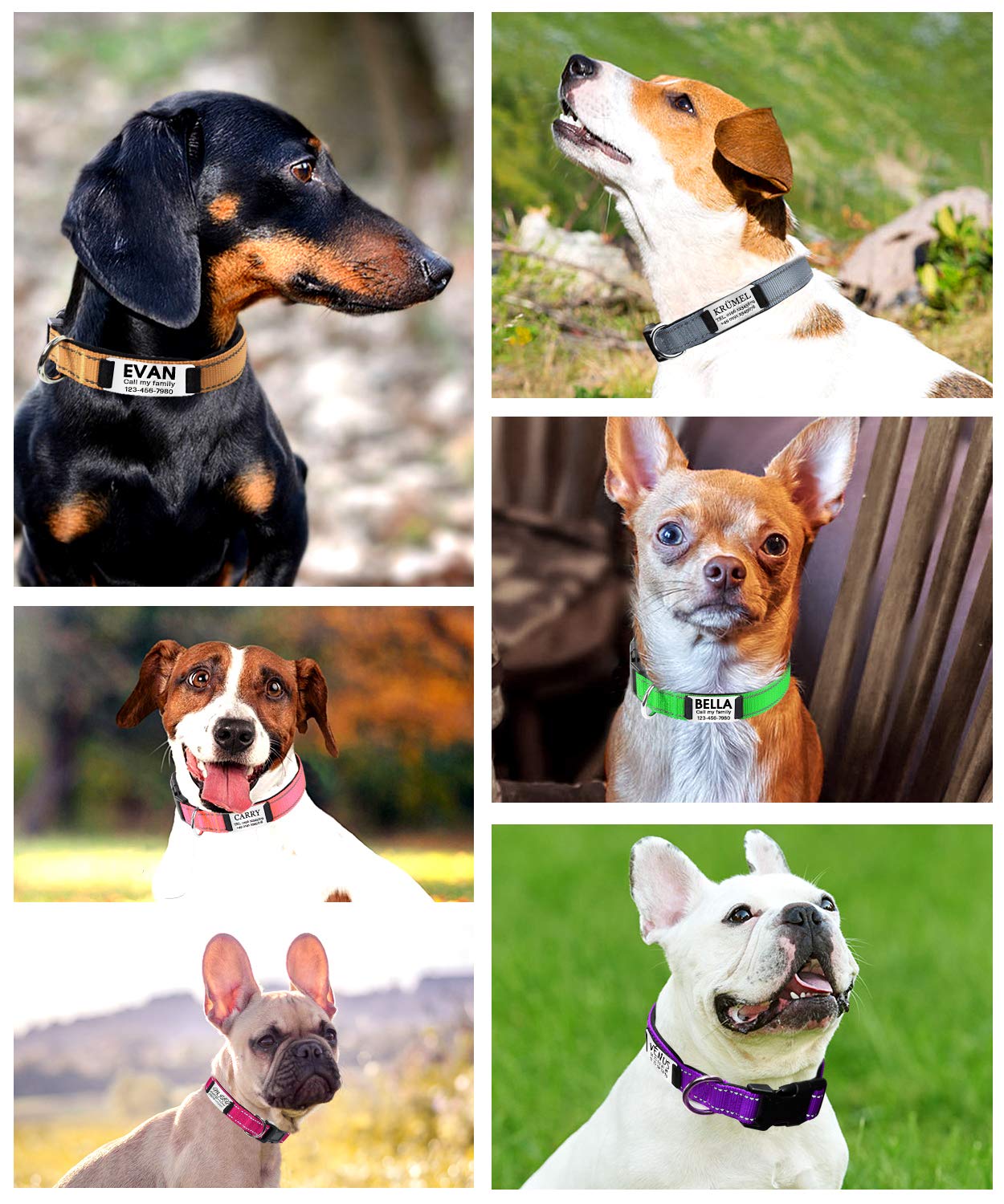 Personalized Dog Collar with Name Plate | Custom Engraved Reflective Pet Collar for Large Dogs | Khaki Color | Perfect for Night Walks & Outdoor Adventures