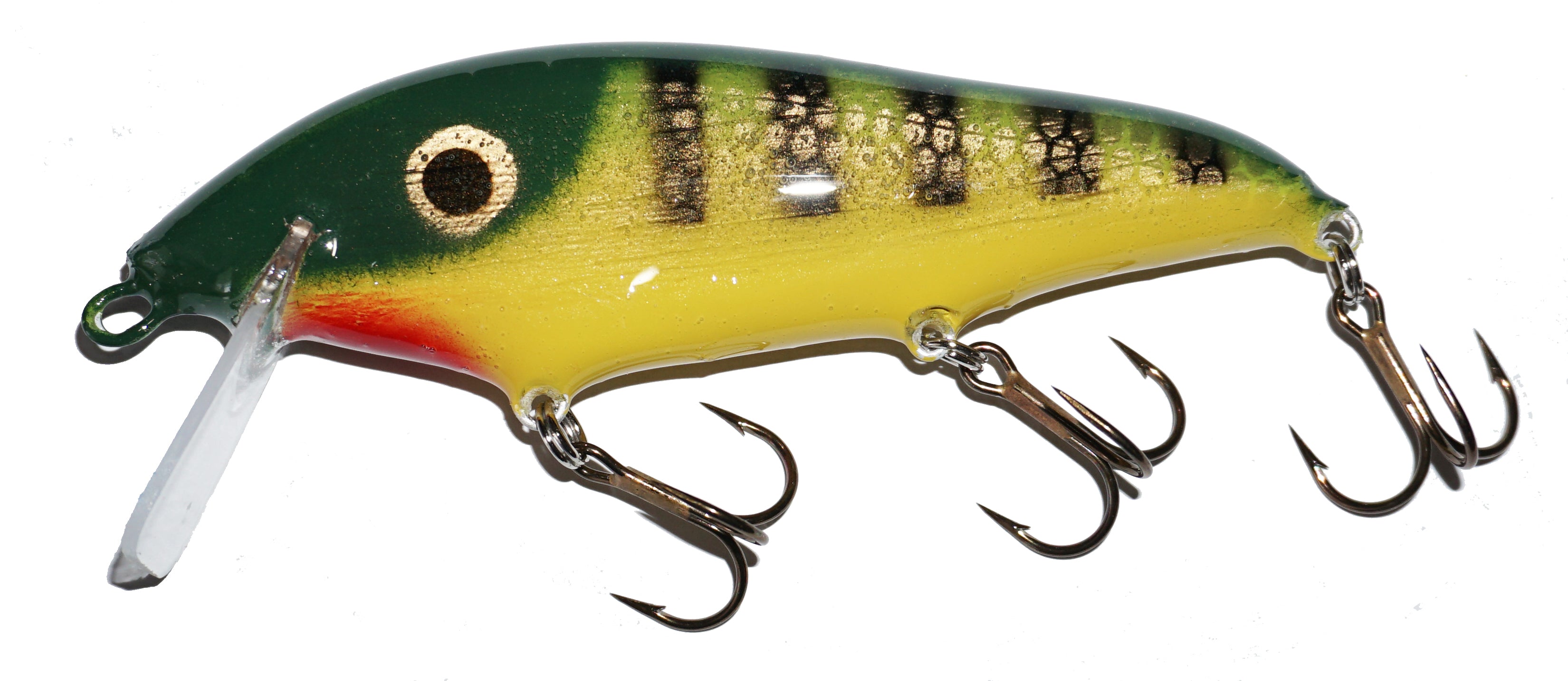 perch yellow holo