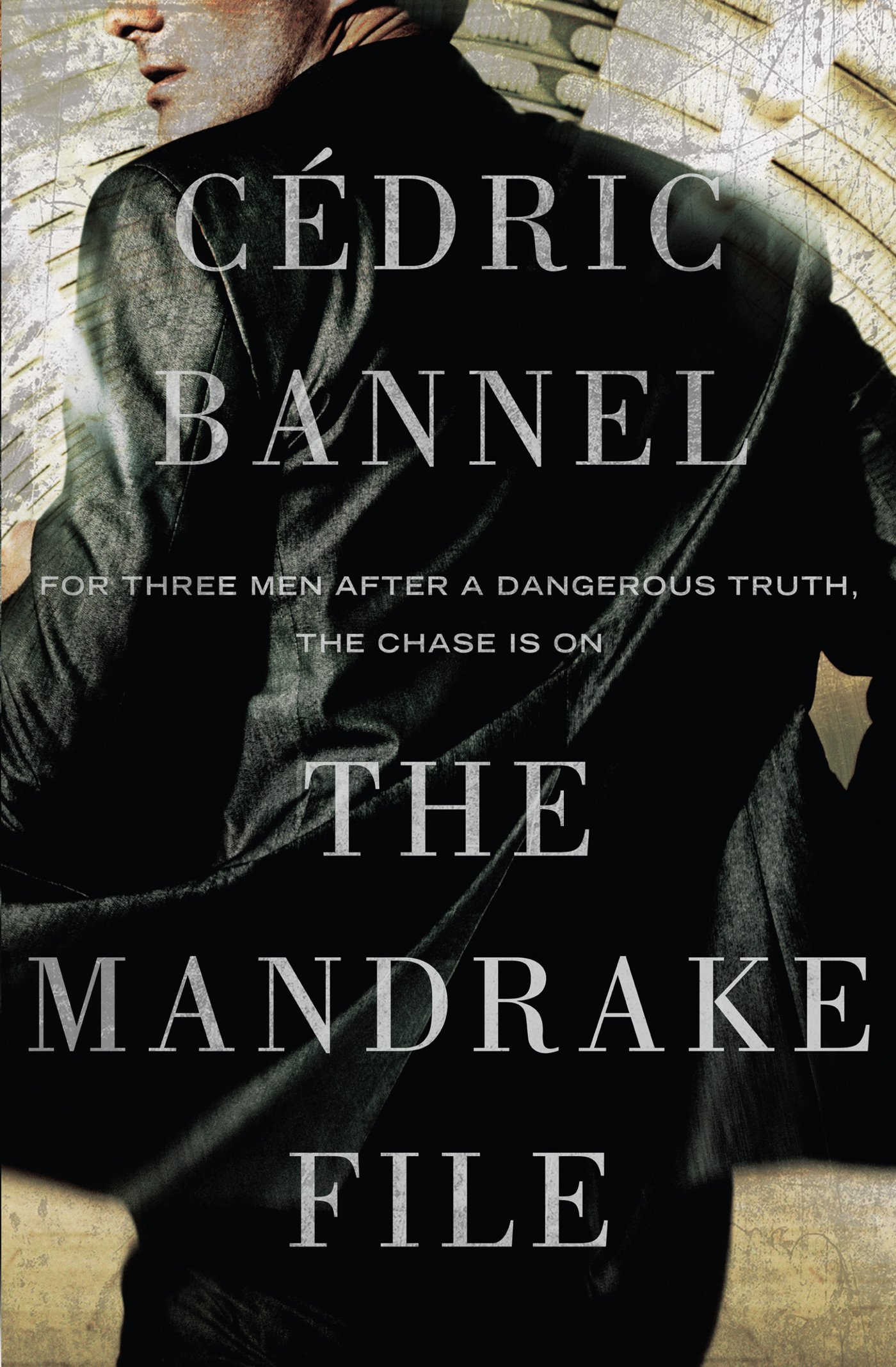 The Mandrake File: A Gripping Mystery Novel - Perfect for Thriller Lovers & Book Club Discussions