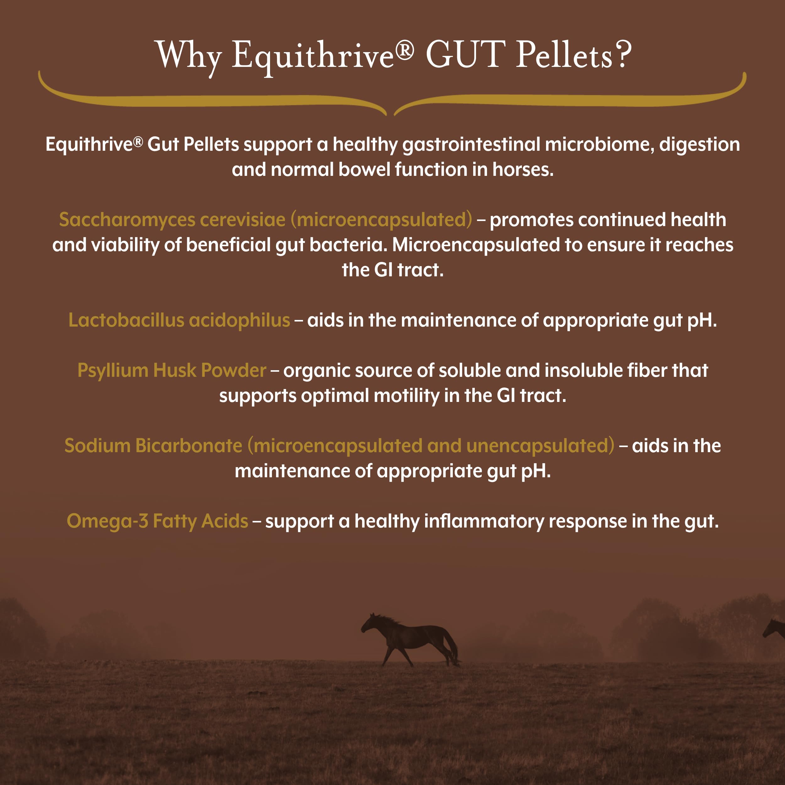 Equithrive Horse Gut Pellets - Probiotic Digestive Support Supplement with Psyllium Husk, Sodium Bicarbonate & Omega 3 for Horses - 10 lb Bag - Ideal for Digestive Health, Colic Prevention & Performance Horses