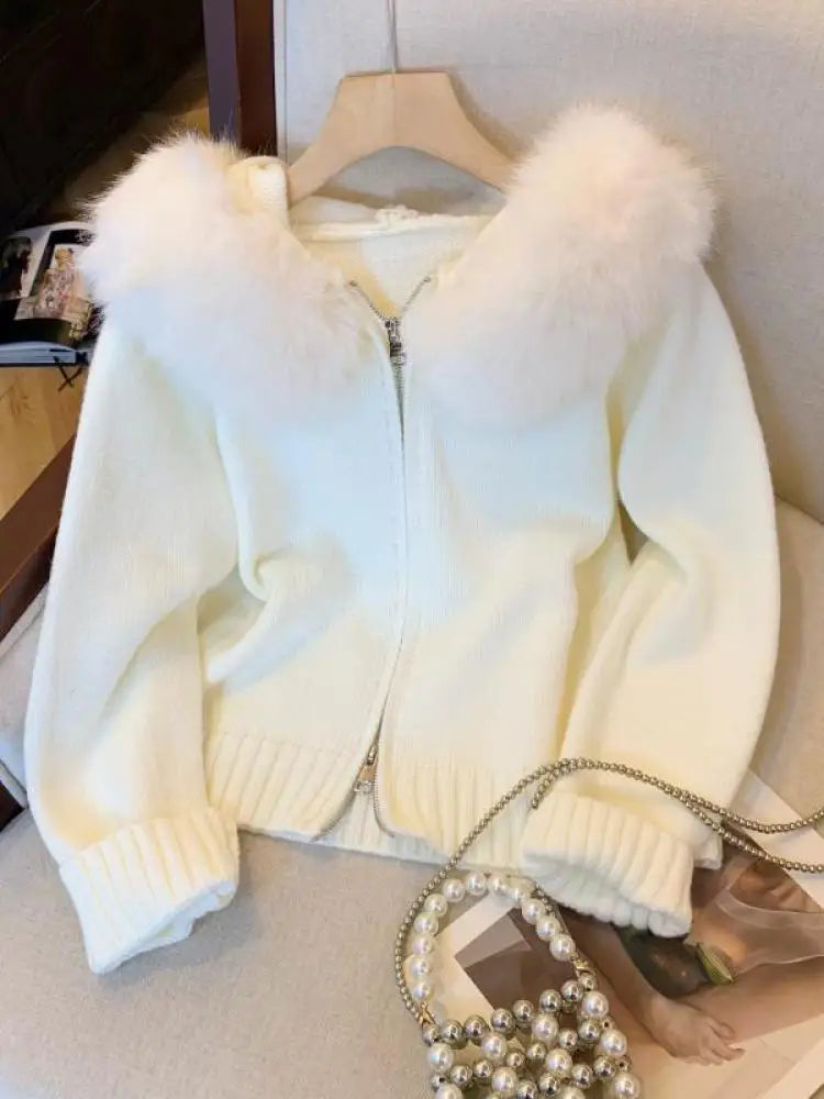 Women's Plush Hoodie Cardigan - Korean Fashion Winter Sweater with Zipper | Soft Cotton Knit Coat for Casual Wear & Vacation | Warm Thick Tops for Fall & Winter Seasons