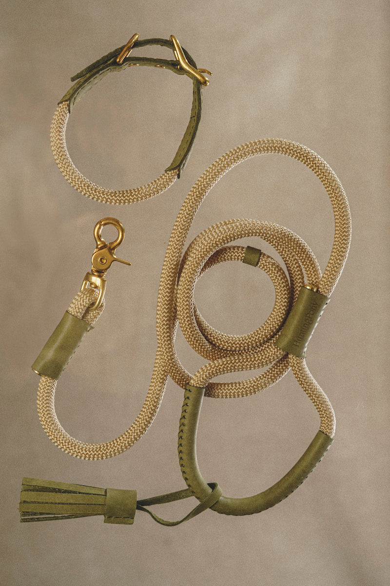 Durable Green Dog Leash with Light Rope - Perfect for Walking, Training & Outdoor Adventures - Pony Makarony Style