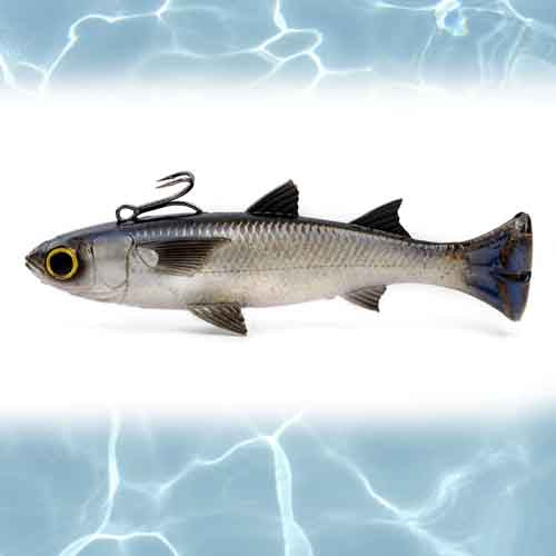 SILVER MULLET