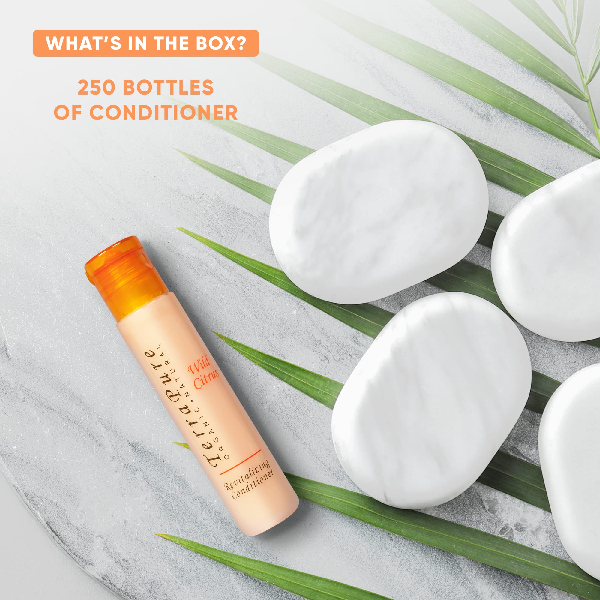 Terra Pure Wild Citrus Hair Conditioner - Travel Size 1 oz (Pack of 250) - Perfect for Hotels, Gyms, Spas & Sample Kits | Sulfate-Free & Nourishing Formula