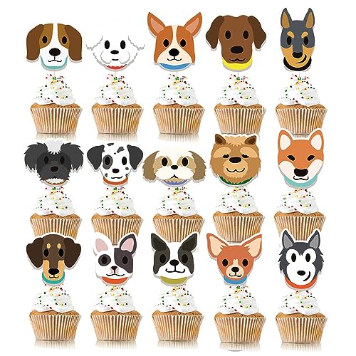 16pcs