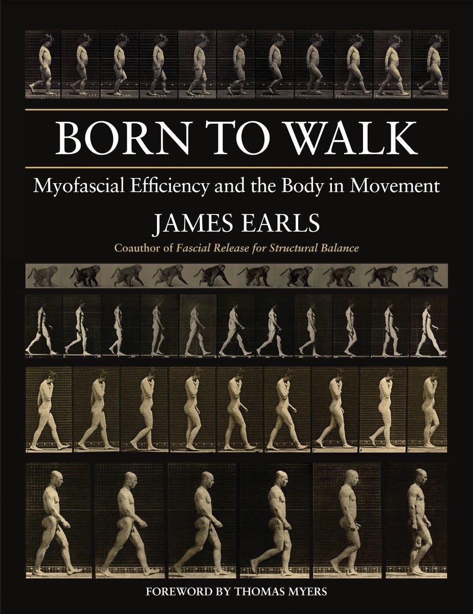 Born to Walk: Myofascial Efficiency and the Body in Movement - Improve Posture & Mobility for Hikers, Runners & Fitness Enthusiasts