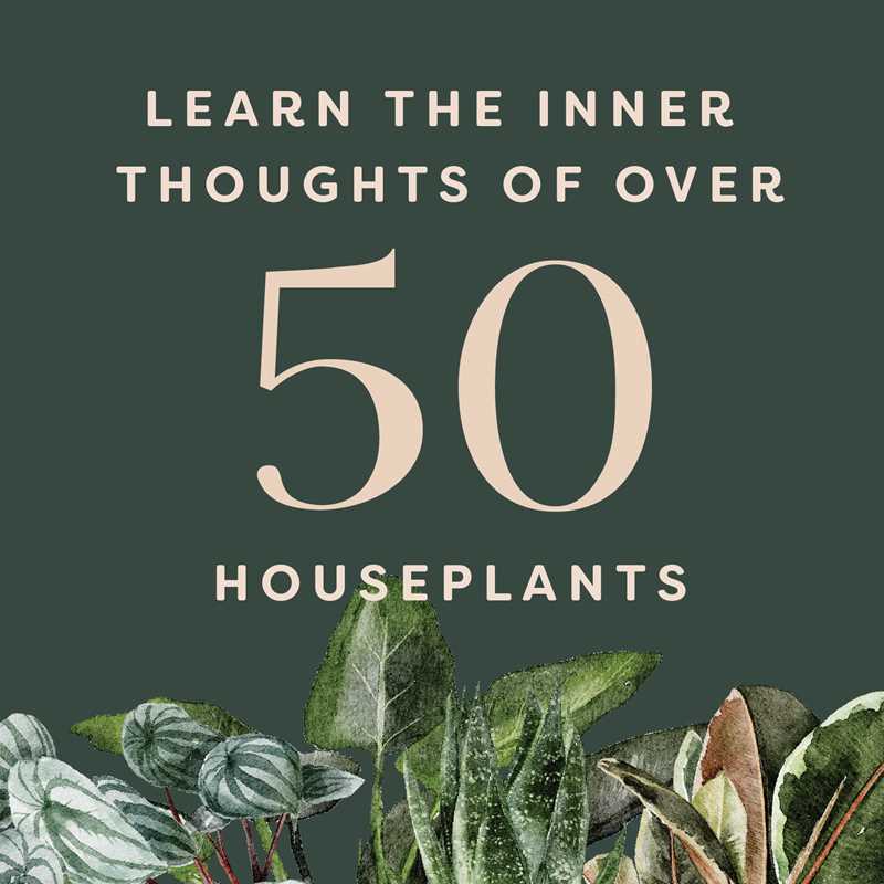 Houseplants and Their Fucked Up Thoughts by Carlyle Christoff - Funny Plant Lover Gifts, Unique Home Decor for Plant Parents, Perfect for Indoor Gardening Enthusiasts and Houseplant Decor
