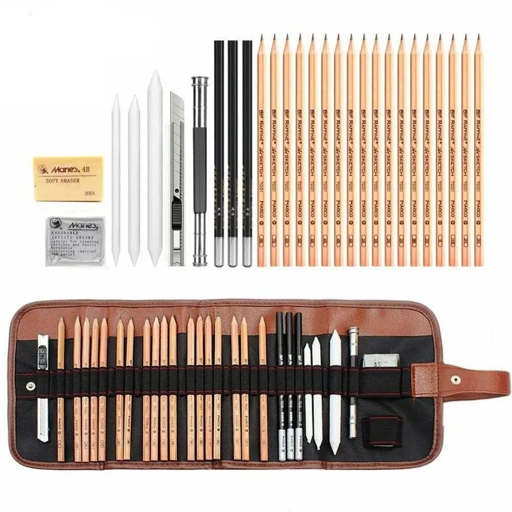 Professional Sketch Pencil Set - 29 Piece Artist Drawing Kit with Graphite Pencils, Charcoal, Blending Stumps & Erasers | Perfect for Sketching, Shading, Portraits & Art Projects