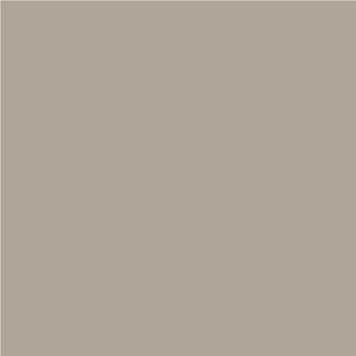 Neutral Color