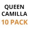 Queen Camilla